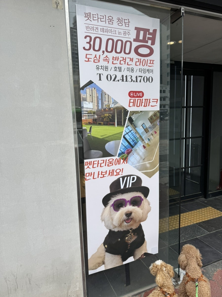 강남 애견카페 펫타리움, 반려견 놀이터 후기 — 사진 4