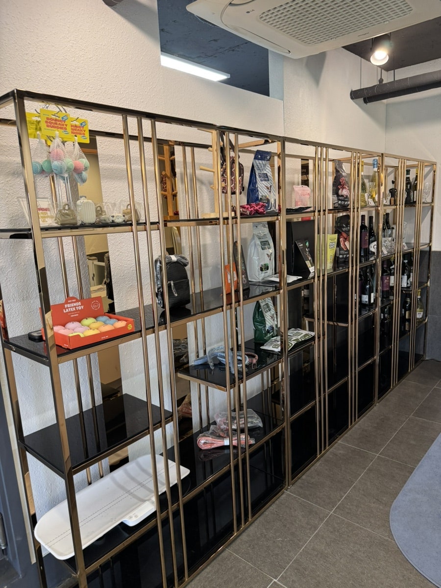 강남 애견카페 펫타리움, 반려견 놀이터 후기 — 사진 14