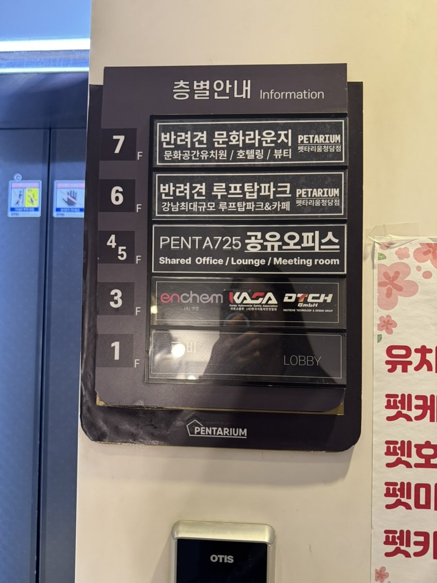 강남 애견카페 펫타리움, 반려견 놀이터 후기 — 사진 5