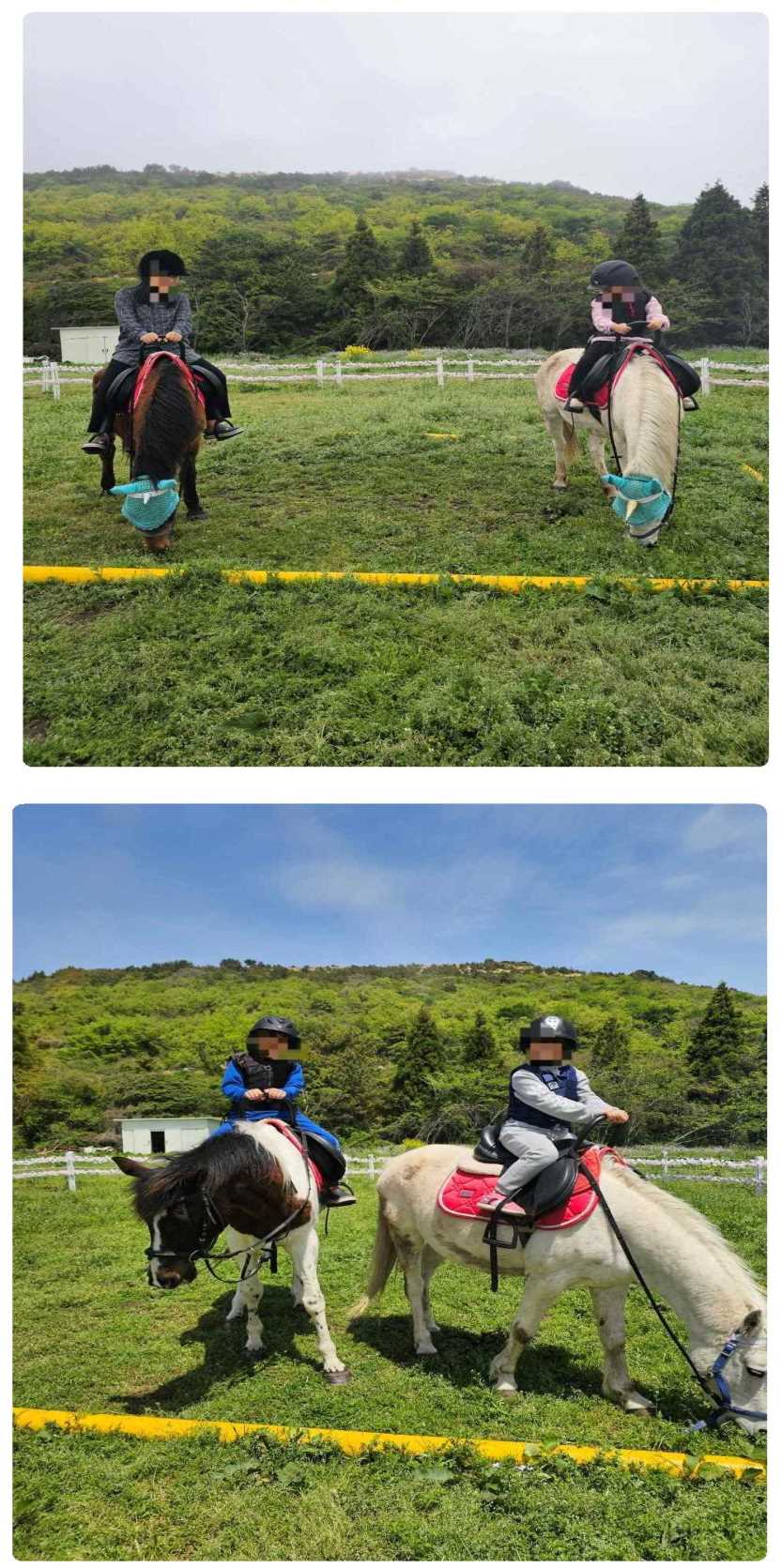 제주토이승마장 이미지