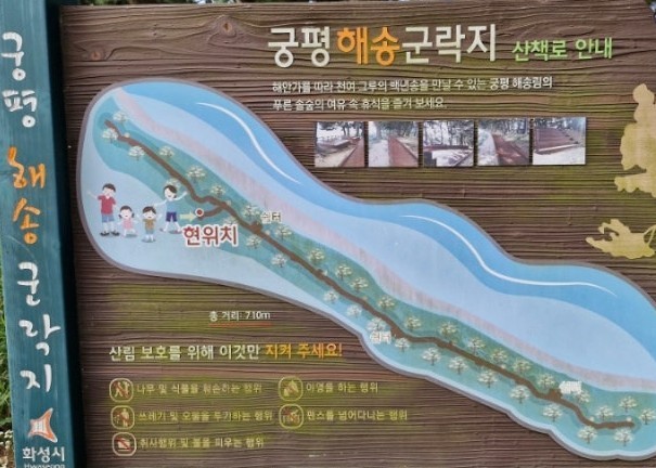 궁평항 하나로할인마트24 이미지