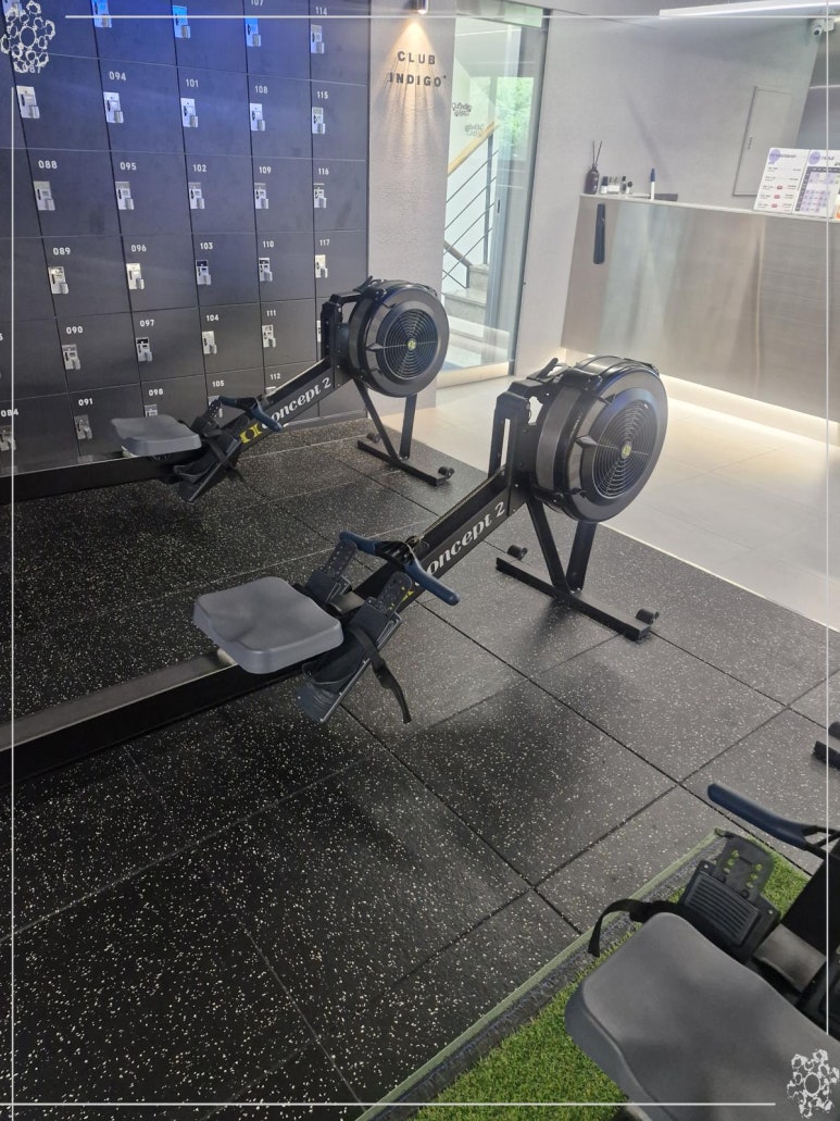 클럽인디고 이미지