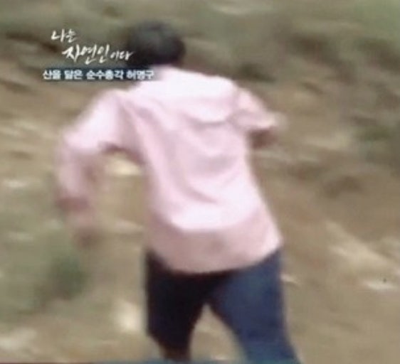 고망고 이미지