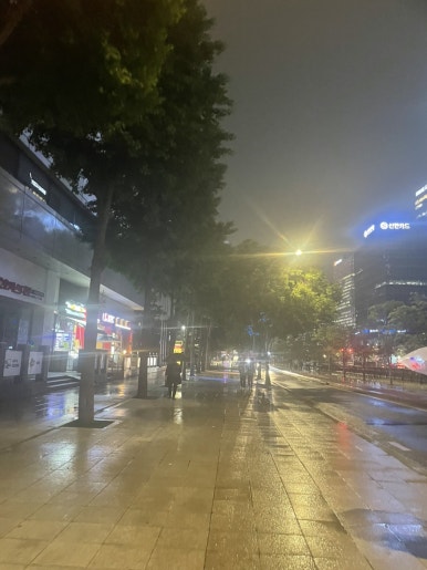 삼일전집 이미지