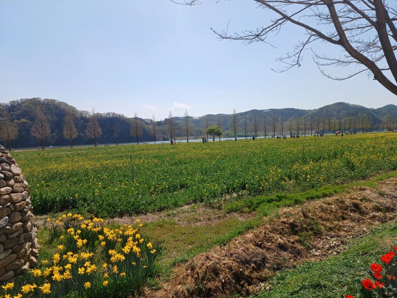 통큰갈비나주 이미지