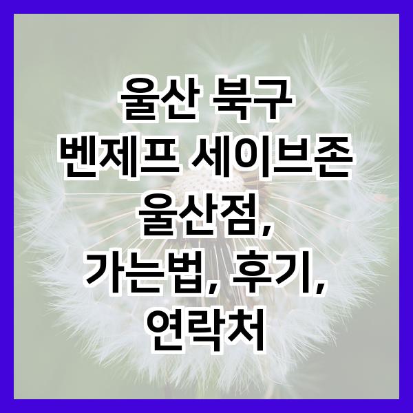 세이브존울산점 이미지