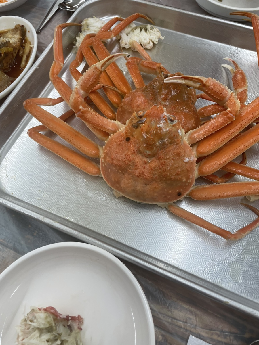 순양호영덕대게직판장 이미지