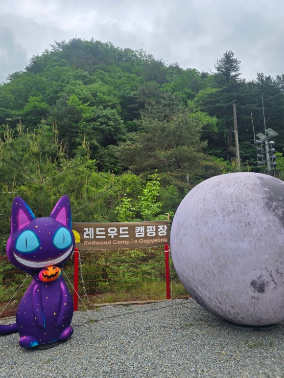 레드우드캠핑장 이미지