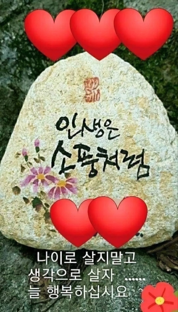 행복한샘물 이미지