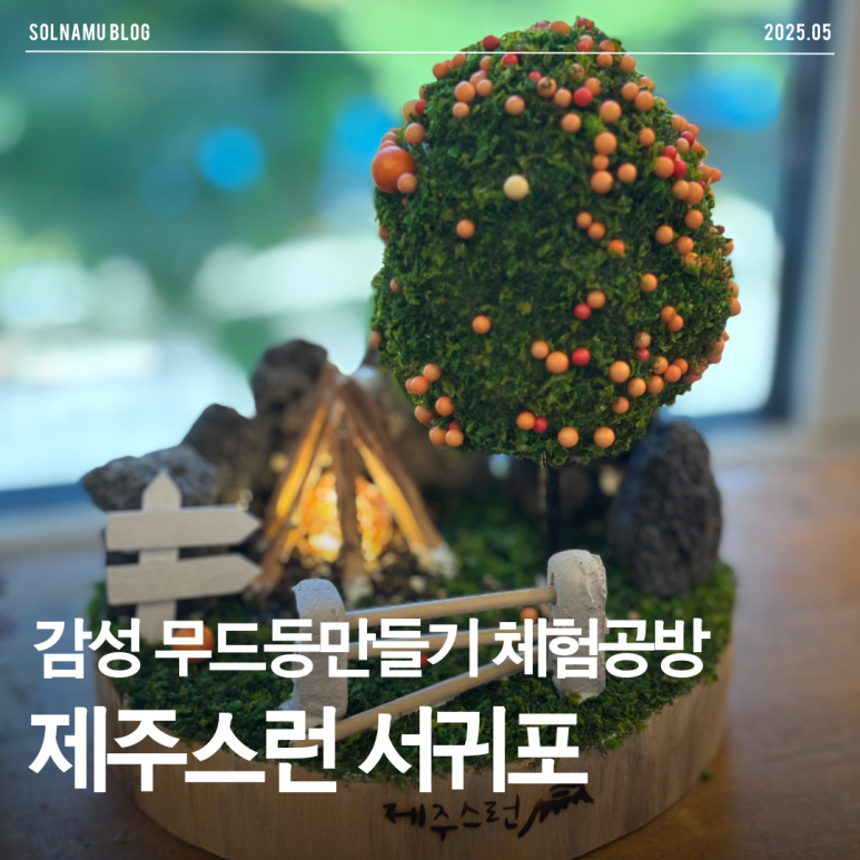 제주스런서귀포 이미지