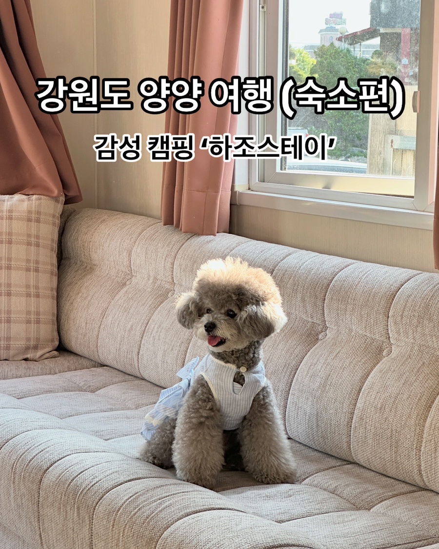 하조스테이 이미지