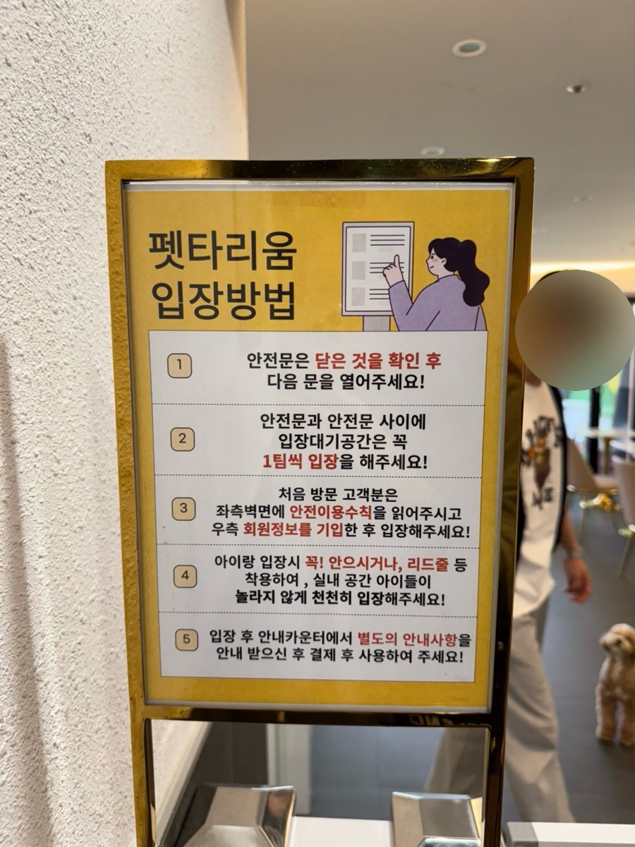 강남 애견카페 펫타리움, 반려견 놀이터 후기 — 사진 11