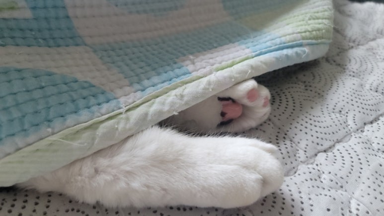 안녕옥이발관 이미지
