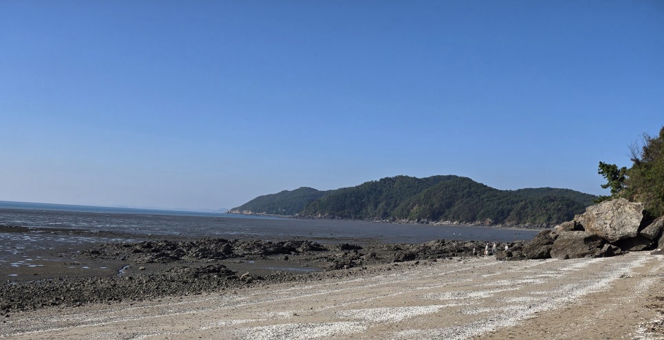 옹암해수욕장 야영장 이미지