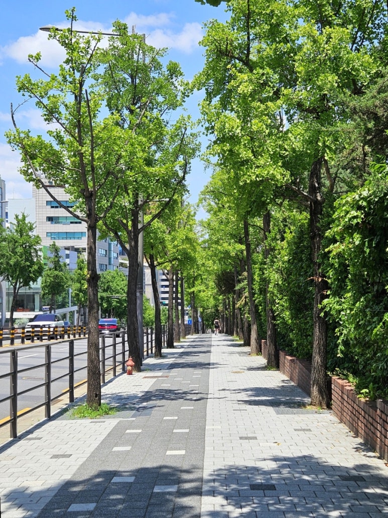 스시요네 사진 7