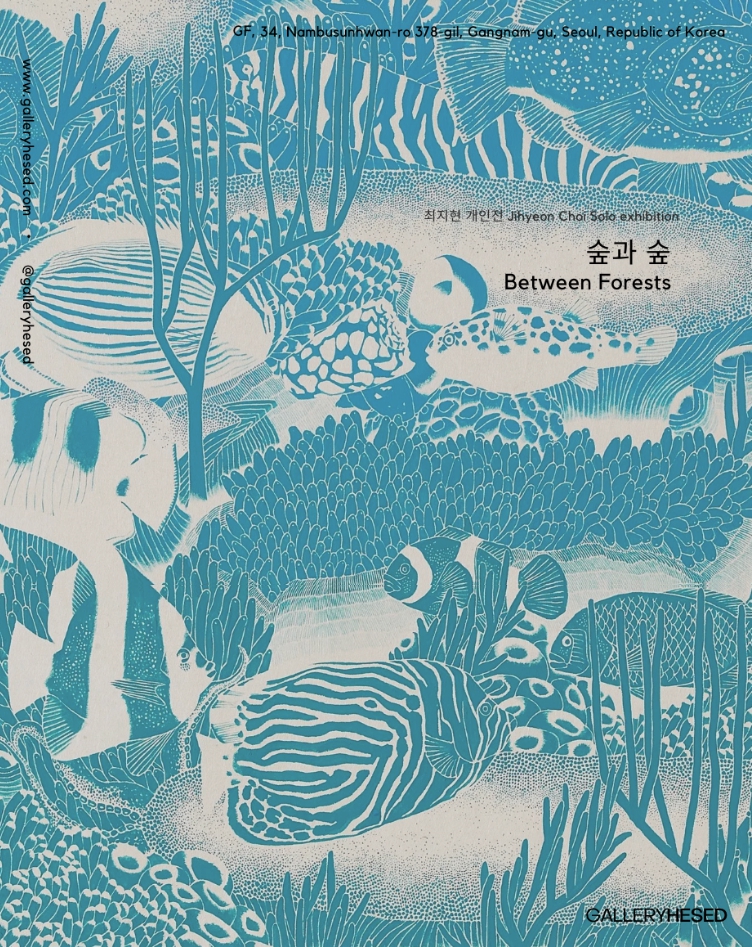 헤세드(hesed) 이미지