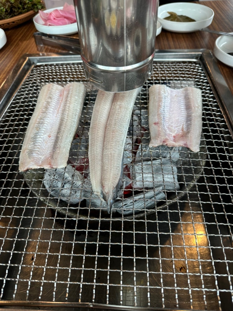 신화장어 이미지