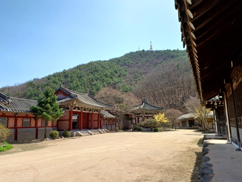 자이언츠주유소 이미지