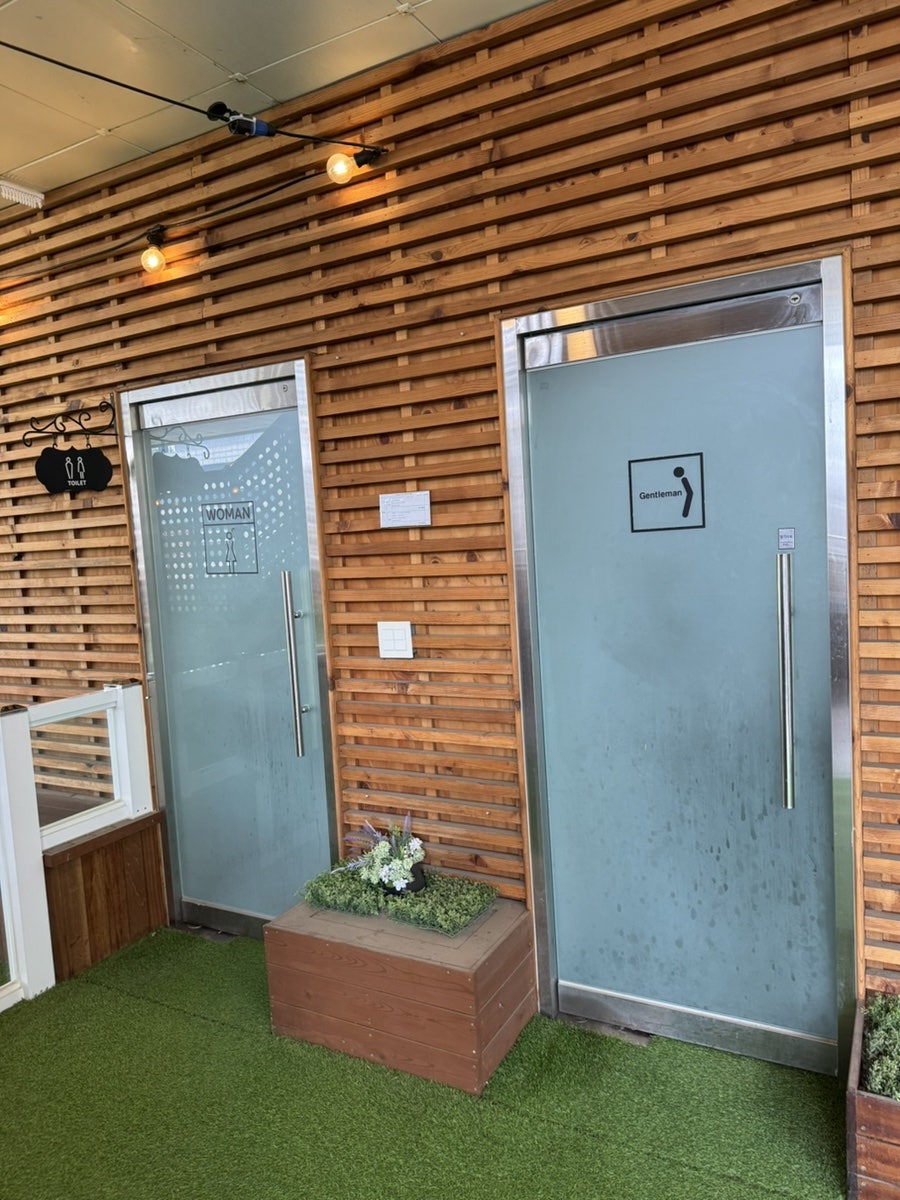 강남 애견카페 펫타리움, 반려견 놀이터 후기 — 사진 9