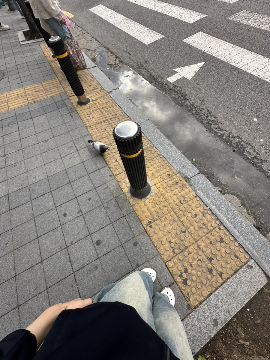 비둘기문구점 이미지