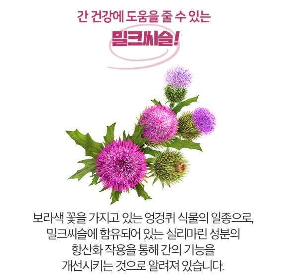 남양식품 이미지