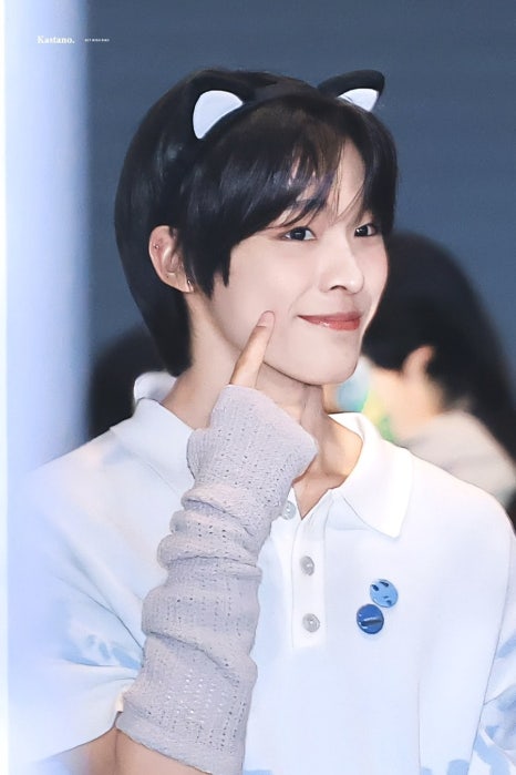 아라모드 이미지