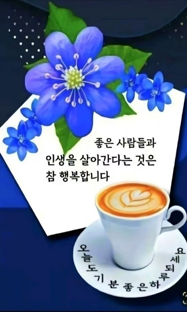 수지상사 이미지