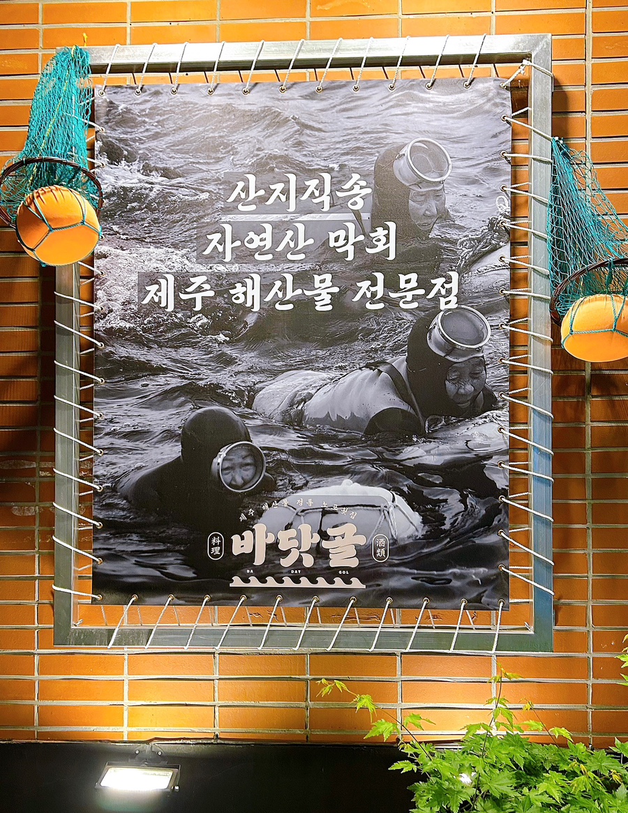 바닷골 이미지