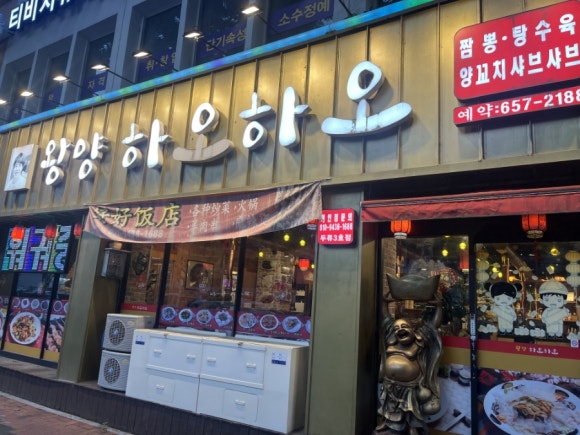 왕양하오하오 이미지