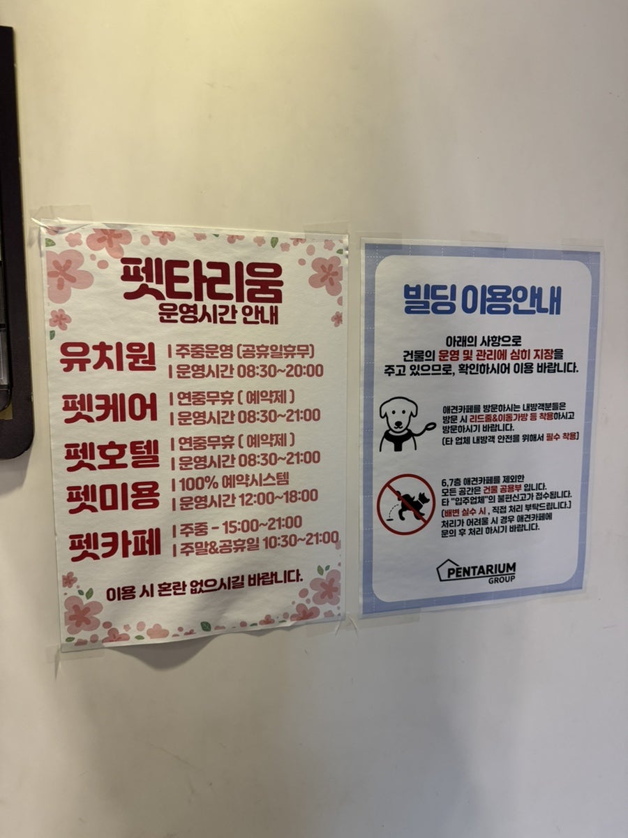 강남 애견카페 펫타리움, 반려견 놀이터 후기 — 사진 6