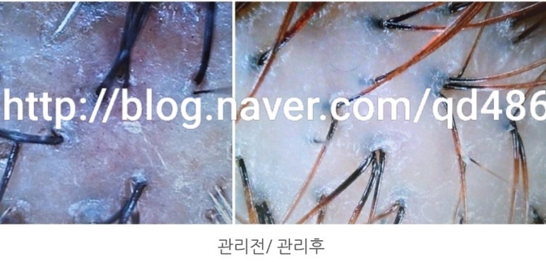 가꾸는동안뷰티샵 이미지