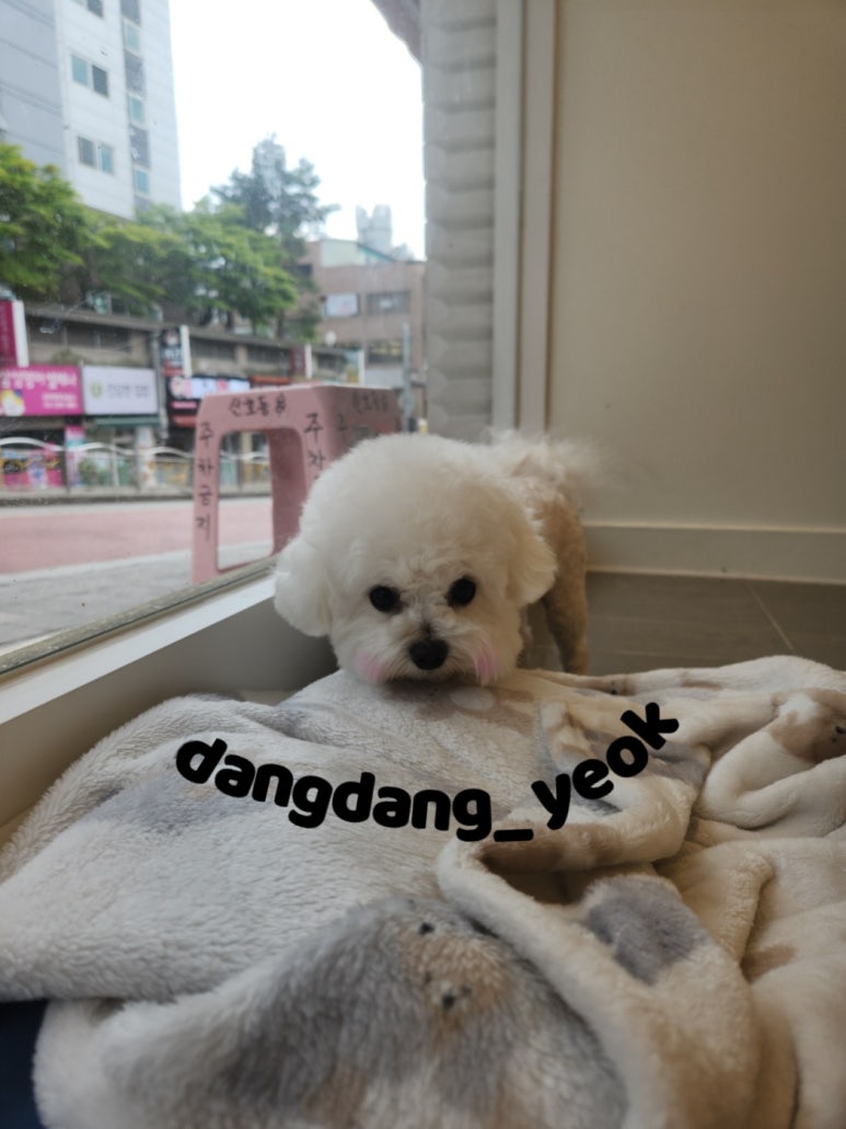 연두미용실 이미지
