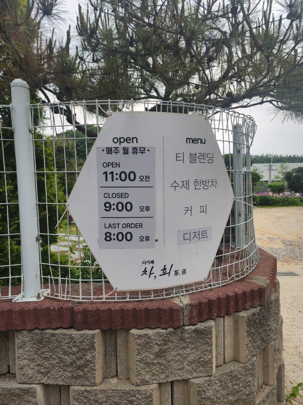 차*희 이미지