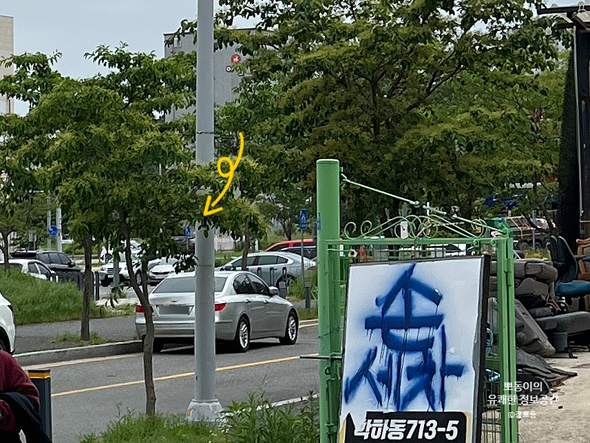 이가네생면국수 이미지