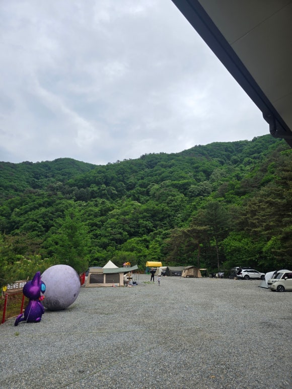 레드우드캠핑장 이미지