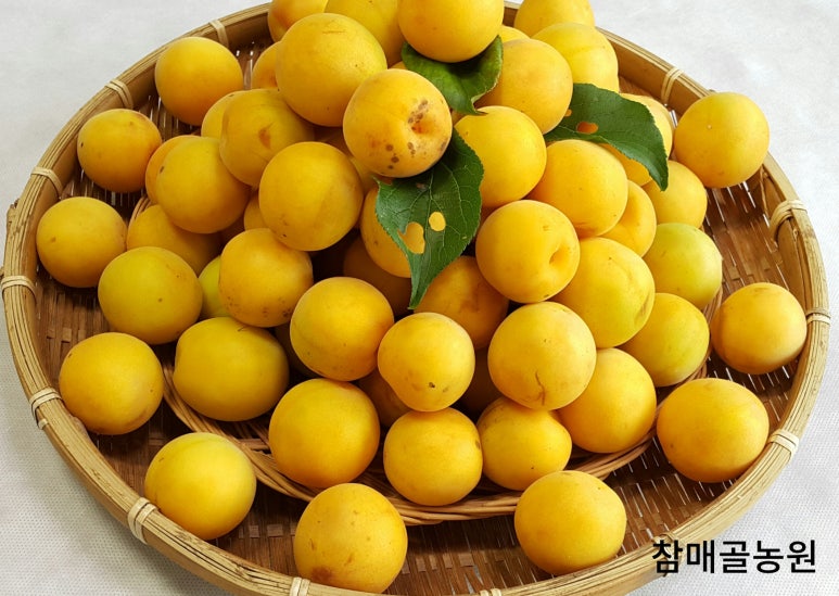 참매골농원 이미지