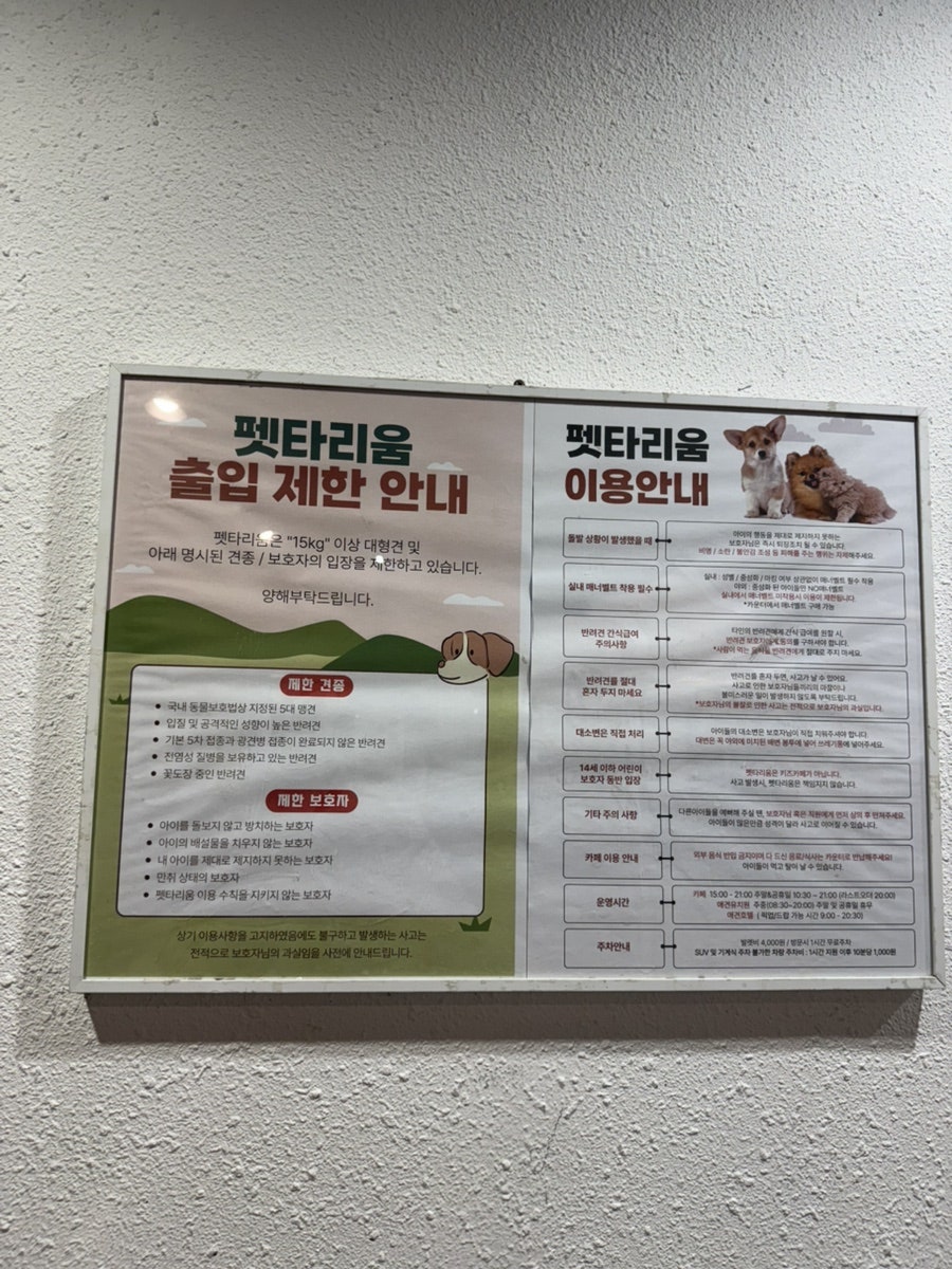 강남 애견카페 펫타리움, 반려견 놀이터 후기 — 사진 10