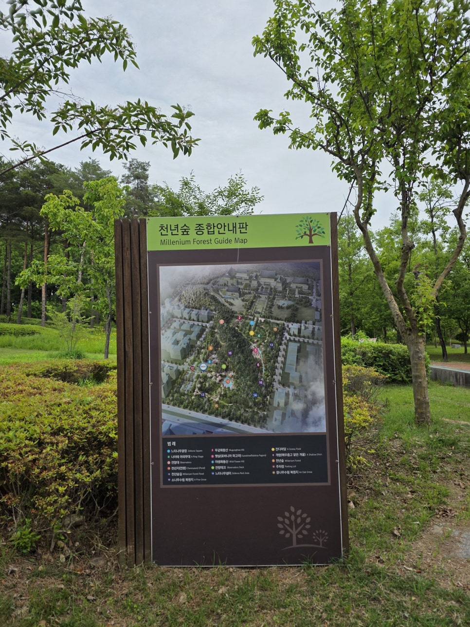 천년숲 유아숲체험원 이미지