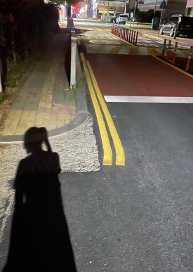 정성들이다 이미지