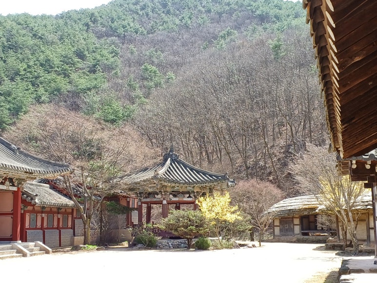 자이언츠주유소 이미지