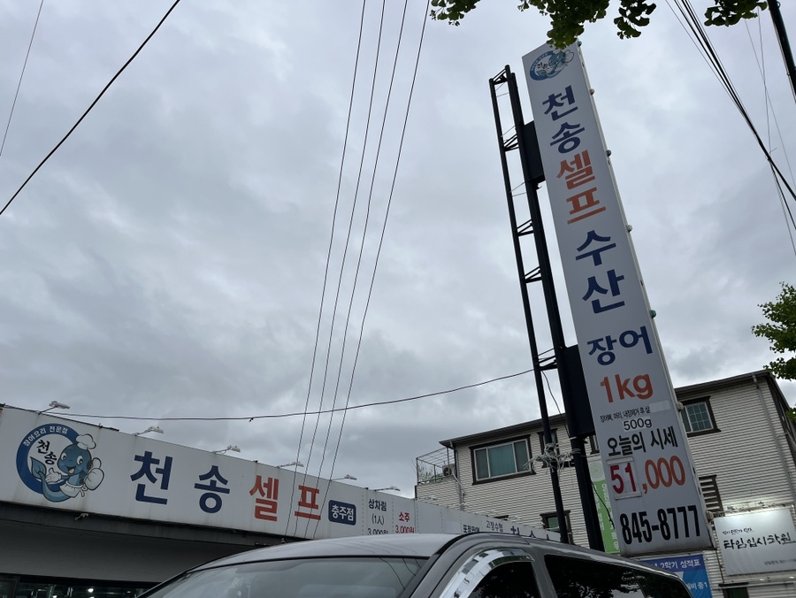 천송셀프 이미지