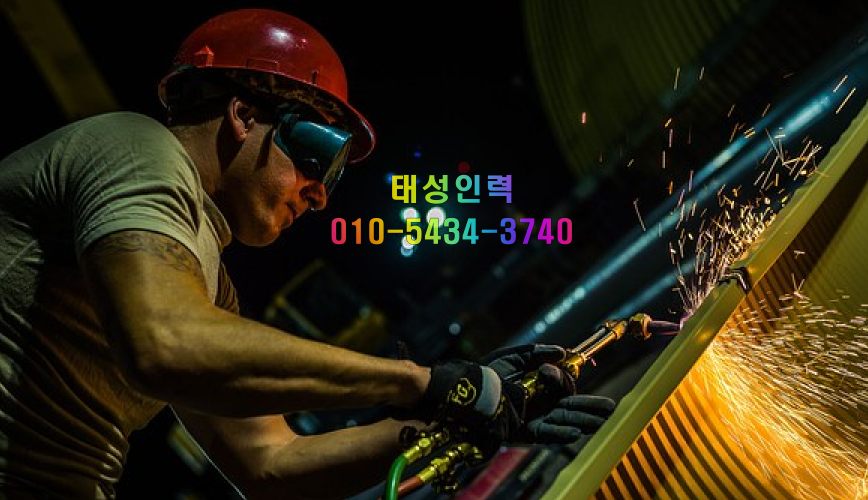 태성인력 이미지