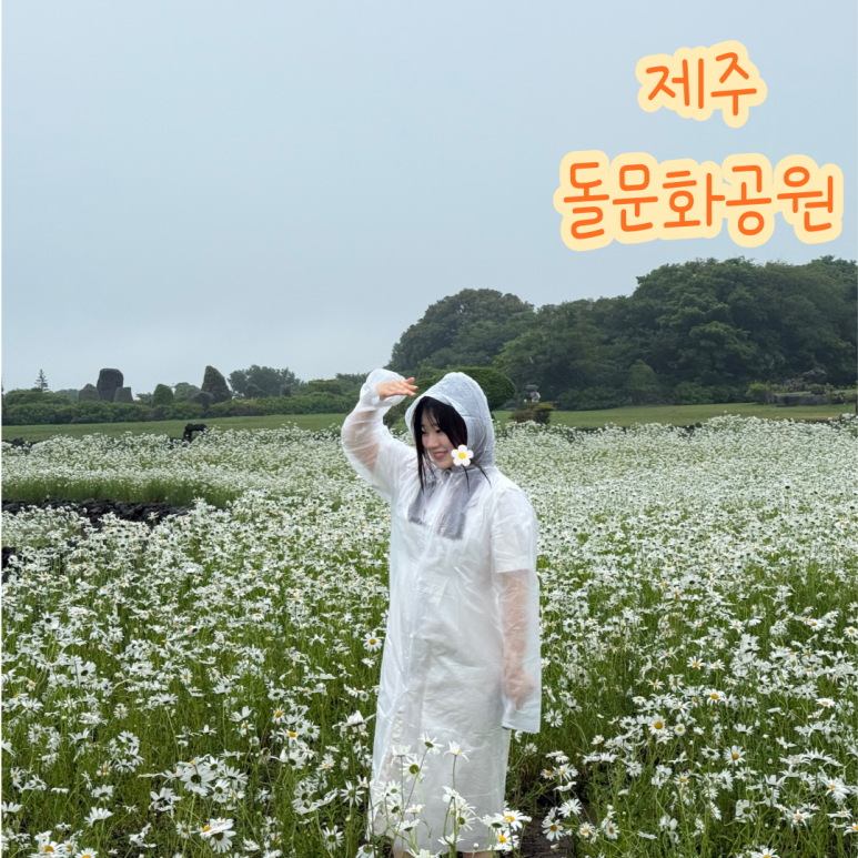 돌콩새 이미지