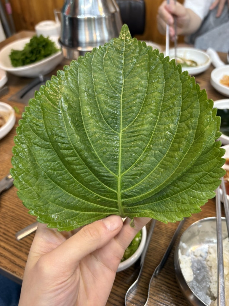 김가네숯불갈비 이미지
