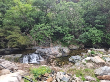 오도산황토펜션 이미지