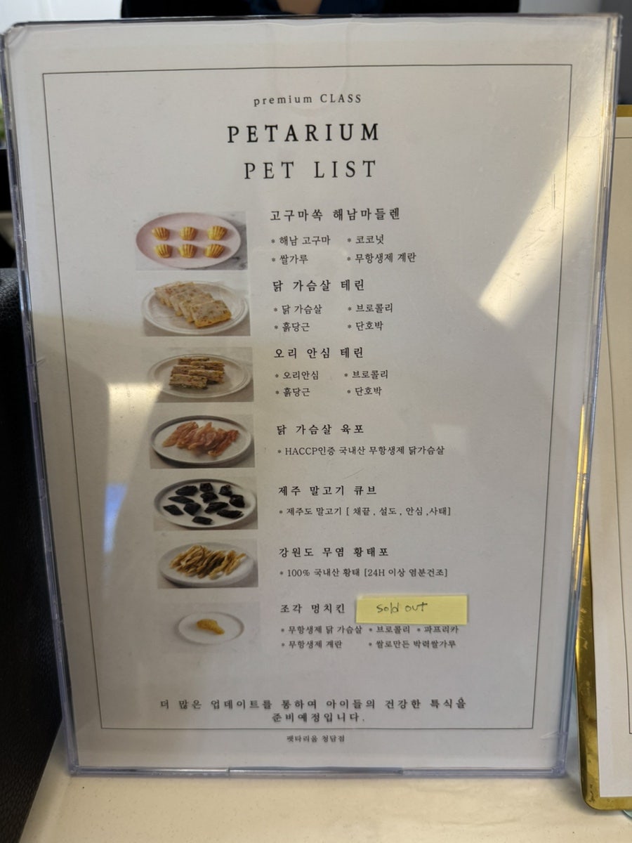강남 애견카페 펫타리움, 반려견 놀이터 후기 — 사진 15