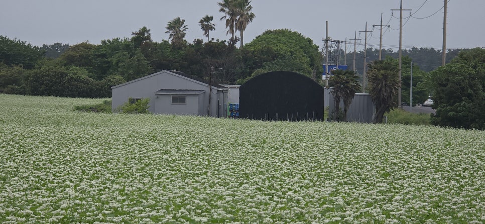 혜주산업(주) 이미지