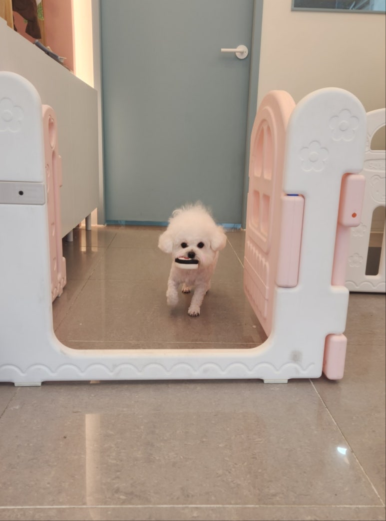 연두미용실 이미지