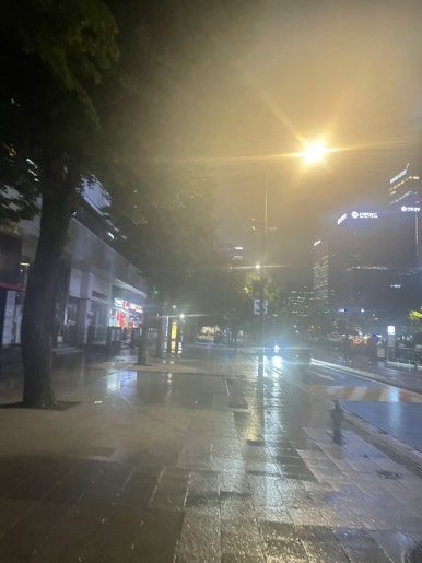 삼일전집 이미지