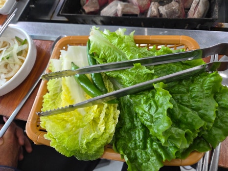 우수영민물장어 이미지